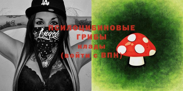 ГАЛЛЮЦИНОГЕННЫЕ ГРИБЫ Горнозаводск