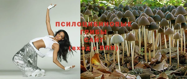 ГАЛЛЮЦИНОГЕННЫЕ ГРИБЫ Горнозаводск
