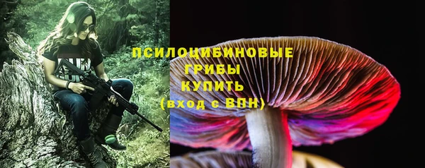 первитин Вяземский