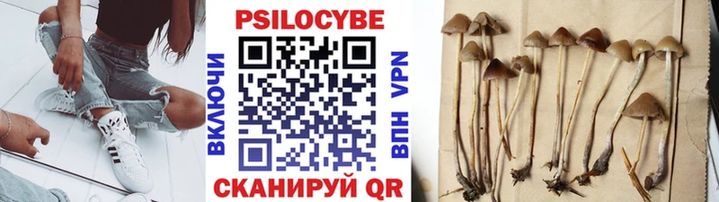 площадка как зайти ОМГ ОМГ как зайти Галлюциногенные грибы Cubensis Шахты где можно купить